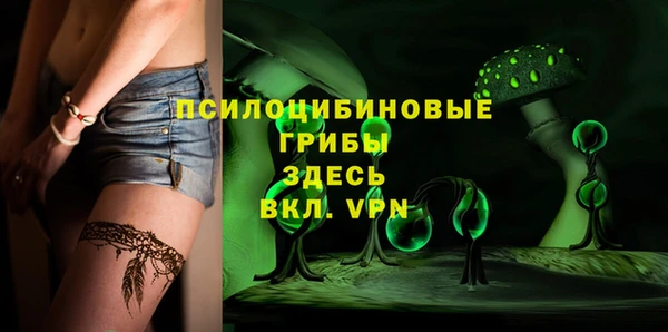 твердый Абаза