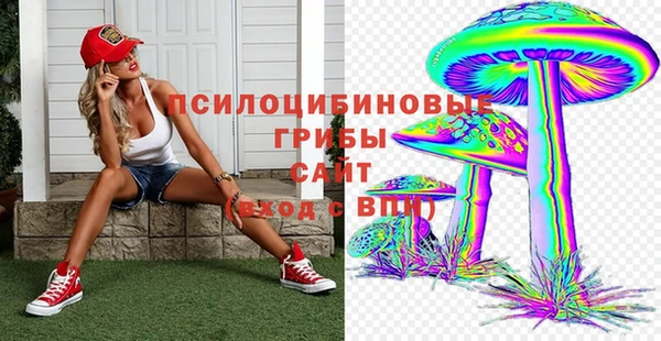 spice Алексеевка