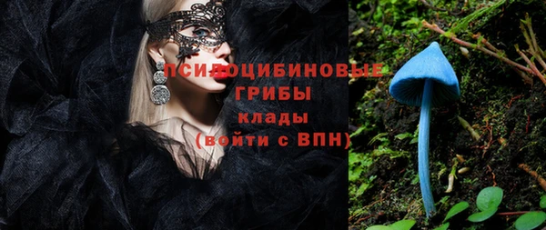 a pvp Алексин