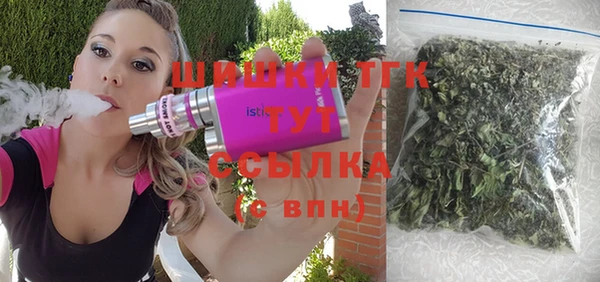 гидра Арсеньев