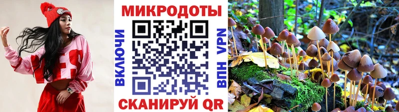 где продают наркотики  Отрадная  Псилоцибиновые грибы Cubensis 